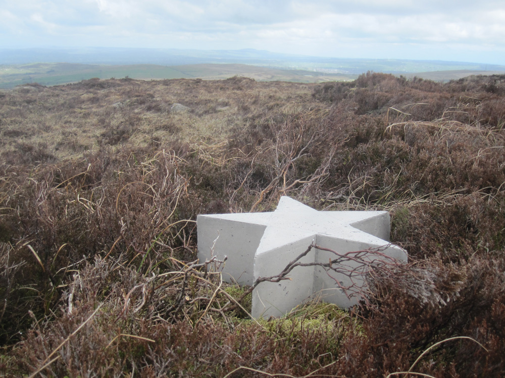 Summit Stars 2013 (Ongoing landscape interventions)